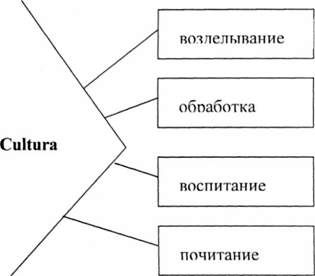 полисемантичность понятия культуры