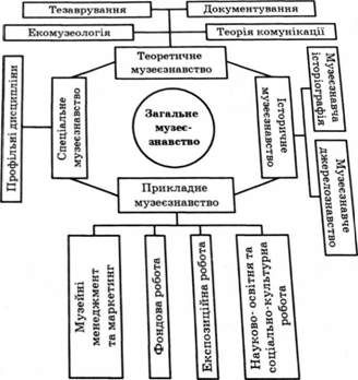структура музеєзнавства