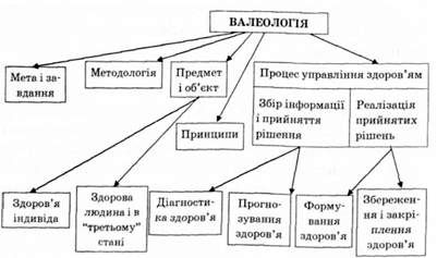 структура валеології як науки валеологія