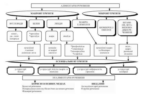 нутрієнтний склад їжі
