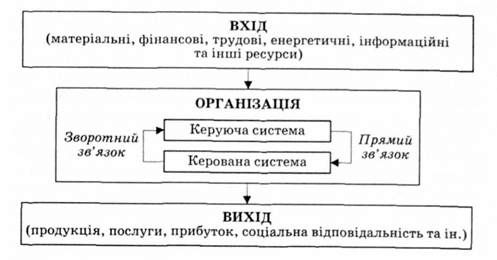 процес функціонування організації як відкритої системи