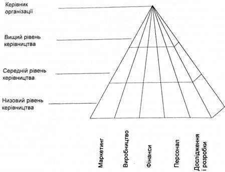 розподіл праці менеджерів за рівнями і сферами діяльності