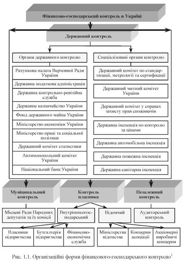 органызацыйны форми фынансового-господарського контролю