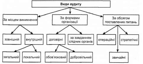 класифікація діючих видів аудиту