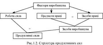 структура продуктивних сил 