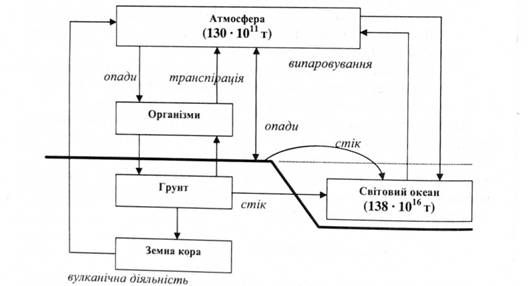 біогеохімічний цикл води
