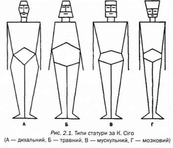 типи статури за сіго