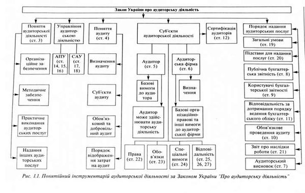 понятійний інструментарій аудиторської діяльності 