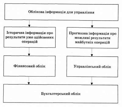 види облікової інформації