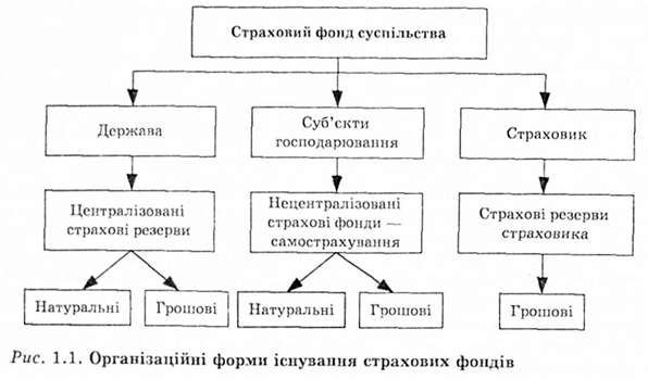 організаційні форми існування страхових фондів 