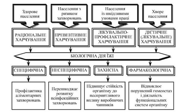 біологічна дія їжі та різновиди харчування
