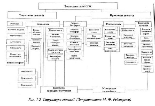 структура екології 