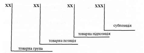 модель структури кодового позначення гс