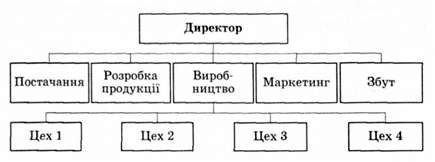 функціональний тип організаційної системи управління виробництвом
