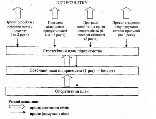 взаємоузгодженість процесів формування і досягнення цілей за видами планування