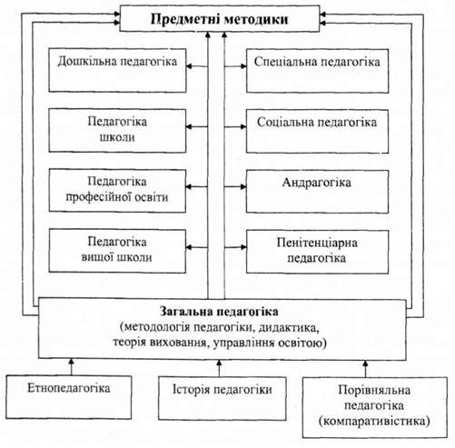 структура педагогічних наук