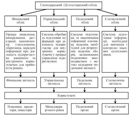диференціація господарського (бухгалтерського) обліку за системою звітності