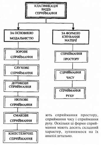 класифікація видів сприймання 