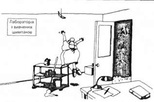 лабораторія з вивчення шимпанзе