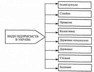 класифікація підприємств залежно від форм власності