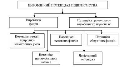 структура виробничого потенціалу підприємства