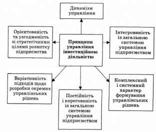 основні принципи управління інвестиційною діяльністю підприємства