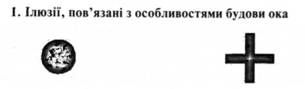 ілюзії, пов'язані з особливостями будови ока
