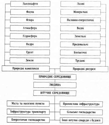 структурна схема довкілля людини