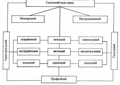 галузевий і територіальний поділ праці в системі суспільного поділу праці