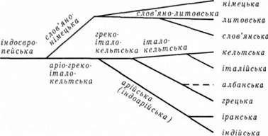 родовідне дерево а. шлейхера