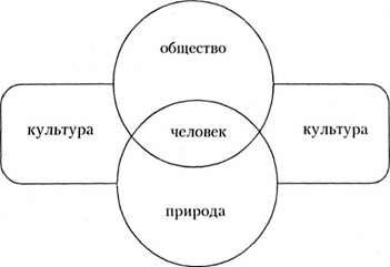 культура в системе бытия
