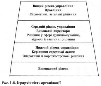 ієрархічність організації 