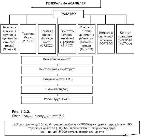 організаційна структура iso