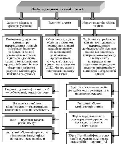 класифікація осіб, що сприяють сплаті податків і зборів