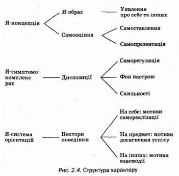 структура харатеру 