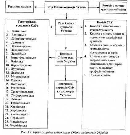 організаційна структура спілки аудиторів україни 