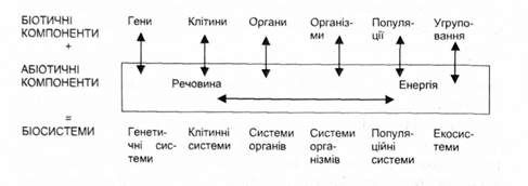 спектр рівнів організації 