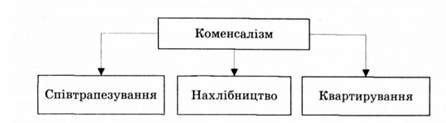 найпоширеніші види коменсалізму у природі