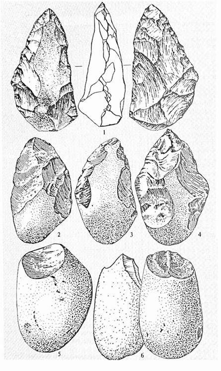 галькові знаряддя homo habilis (5,6) і рубила пітекантропів 