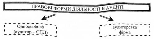підприємницька діяльність в аудиті