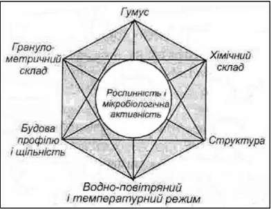 природні фактори родючості (за о. м. грінченком)
