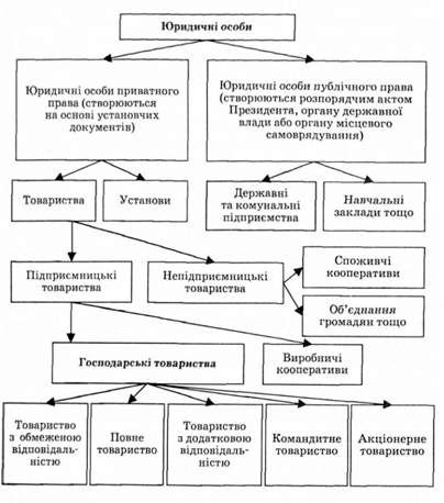 класифікація юридичних осіб за цивільним кодексом україни