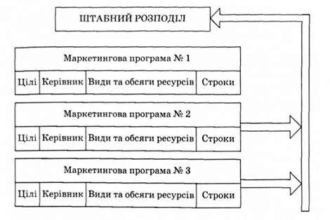 програмна організаційна маркетингова структура