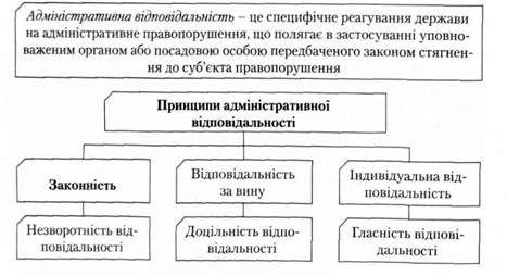 принципи адміністративної відповідальності