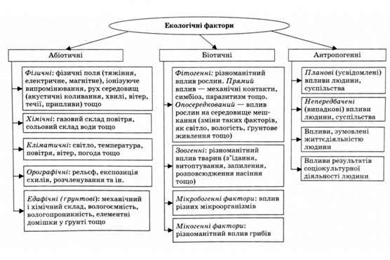 екологічні фактори
