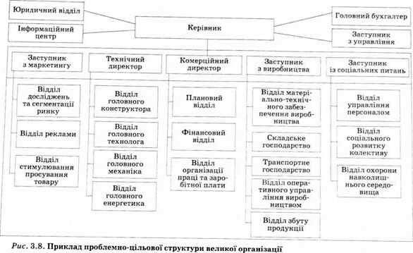 приклад проблемно-цільової структури великої організації 