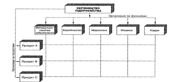 структура управління компанії eco-med-poll