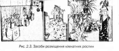 засоби розміщення імнатних рослин 