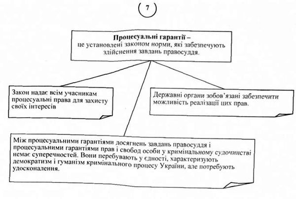 процесуальні гарантії