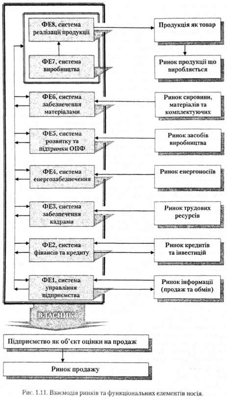 взаємодія ринків та функціональних елементів носія 